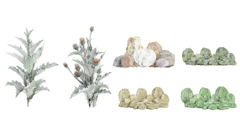 Jungle onopordum acanthium flowers tree,stones shapes cutout 3d render