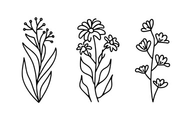 Abstract line art flowers vector clipart. Spring illustration.
