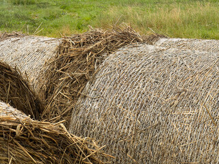 Close-up of hay for the winter stacked in the field, providing food and forage for their horses and cows in the countryside. Winter preparations in the countryside