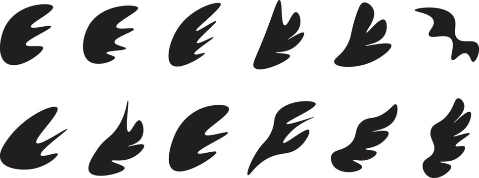 Wing line icon set. Vector bird wing icon. Trendy wing icon. Vector illustration