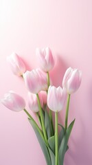 Elegant pink tulips in full bloom, soft pink hue against pastel background, ideal for springtime