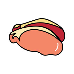 Meat product of food colorful set. This adorable illustration features a perfect chicken fillet on a white background. Vector illustration.