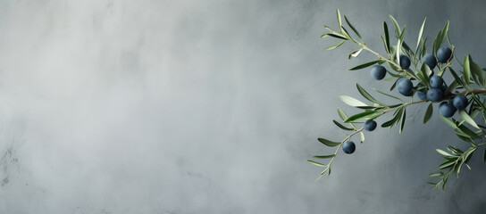 Olive branch with dark blue olives on a subtle grey textured background, evoking elegance and nature. - obrazy, fototapety, plakaty