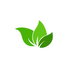 Green leaves vector