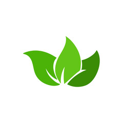 Green leaves vector