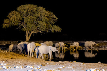 Pozza d'acqua notturna © Paola_C