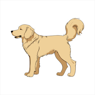 cute dog simple,minimalism,flat color,vector illustration,thick outlined,white background