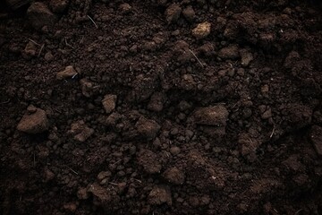 Close up exploration of nature captures raw beauty of ground beneath feet. Rich brown tones speak to essence of soil symbolizing fertility and potential for growth