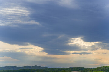 安平町の菜の花畑
