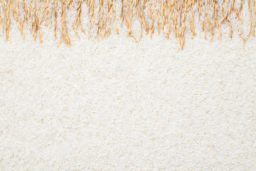 Ears of rice and rice. Creative background of rice and rice ears. white rice background