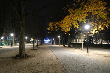 Geneva, Switzerland - December 19, 2023: A view the Bastion park in Geneva center by night.