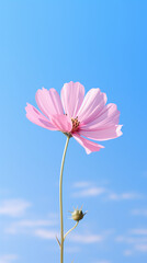 Alone Pink flower and abstract background Sky and cloud in phone wallpaper. Created using generative AI.