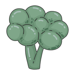 Broccoli vegetable doodle cartoon hand drawn icon. Concept of healthy food, natural vegan products shops, and organic market. Vegan diet grocery product, natural food concept, cooking ingredients