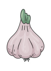 Garlic hand-drawn textured vector doodle style cartoon illustration. Sprouting garlic isolated on white background, natural food concept, cooking ingredients. Concept of healthy food, vegan products