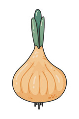 Cartoon doodle onion, textured. Vegetables for a healthy diet. Cute green onion. Natural product. Cartoon drawing for recipe book, banner, decoration