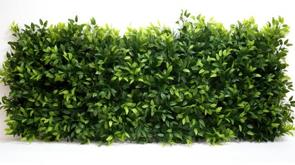 Fototapeta premium Elegant Tall Fake Hedge on White Background with Stylish Sophistication