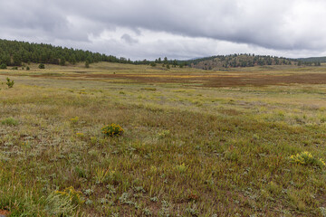 The hilly landscape around the Florissant Fossil Beds a protected landscape with many fossils