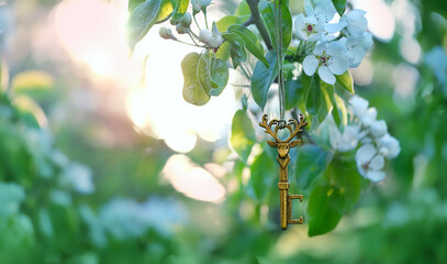 spring nature background. vintage key with deer shape on blossom spring tree, sunny green backdrop....