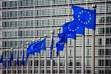 EU flags in front of the European Union Commission building - 696317396