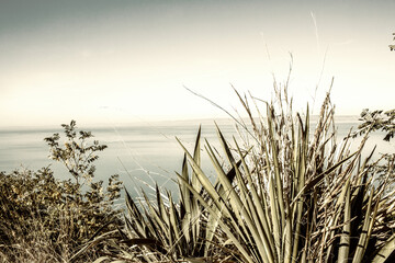 View of the Balaton lake from Balatonvilagos.Autumn season.