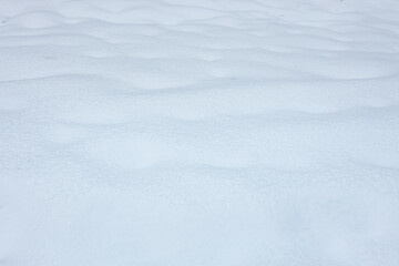 winter snow texture on the field, white thick.snow cover - obrazy, fototapety, plakaty