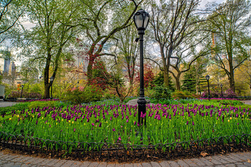 Central Park in spring, the Mall in early morning