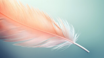 Fototapeta na wymiar Muted colors in closeup of feather macro photo