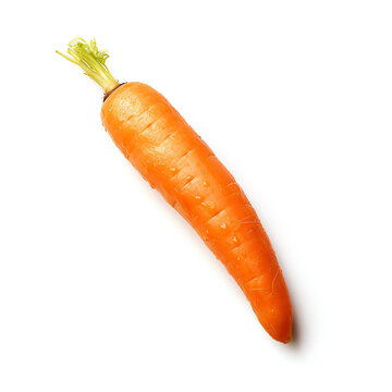 a carrot with a stem