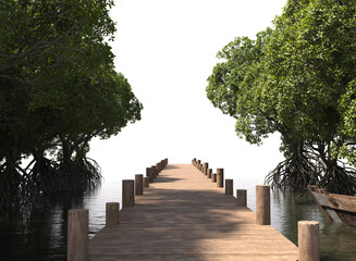 wooden path through mangrove forest