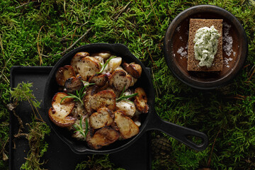 Fried potatoes with forest mushrooms boletus served in iron cast pan on the green forest moss background.  Vegetarian autumn food concept. Food plating and aesthetic concept.