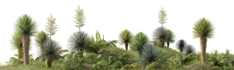 Fototapeta na wymiar Evergreen grass field, plant and palm tree on garden in springtime, Tropical forest isolated on transparent background - PNG file, 3D rendering illustration for create and design or etc
