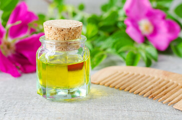 Small vintage bottle with rose hip seed oil. Aromatherapy, homemade beauty treatment and herbal medicine ingredients.