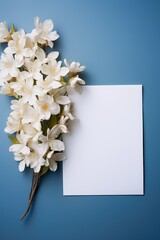 A bouquet of white flowers on a blue background
