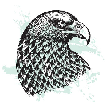 Eagle head vector illustrationm ,Zentangle  Hand drawing image