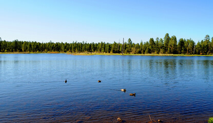 Lake of the Woods Arizona