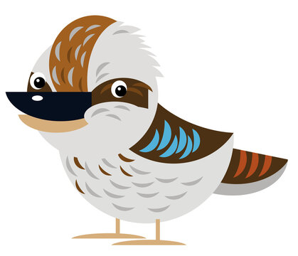 recommend clip art: Cartoon australian animal bird kookaburra on white background illustration for children