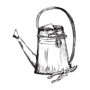 recommend clip art: Hand-drawn ink illustration. Watering can with garden scissors. Vector