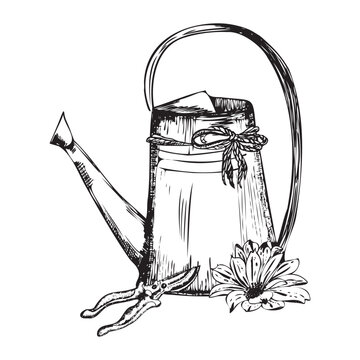 recommend clip art: Hand-drawn ink illustration. Watering can with garden scissors. and flowers Vector