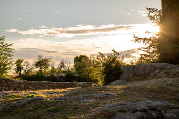 sunset in the forest