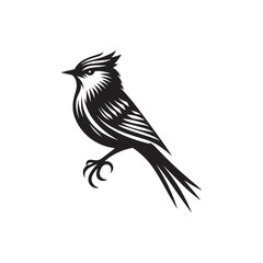 bird silhouette: Tropical Parrots, Exotic Flamingos, and Elegant Owls in Striking Shadow Forms - Minimallest bird black vector

