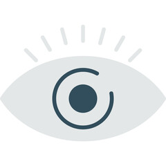 Eye Icon