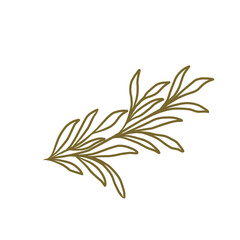 Branch Leaves Line Art Aesthetic