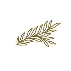 Branch Leaves Line Art Aesthetic