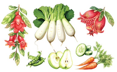 Watercolor painted collection of vegetables and fruits. Hand drawn fresh food design elements isolated on white background
