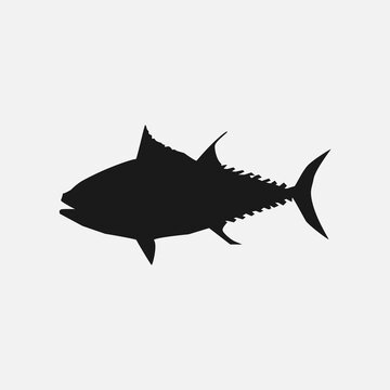 fish isolated on white background
