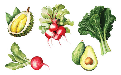 Watercolor painted collection of vegetables and fruits. Hand drawn fresh food design elements isolated on white background