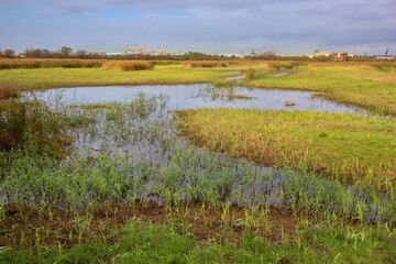 Skocjanski Zatok marshland and the town of Koper in Primorska, Slovenia 