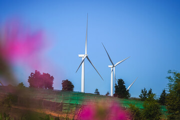 Windmill turbine farm to generate the electricity from wind energy which are installed on the...