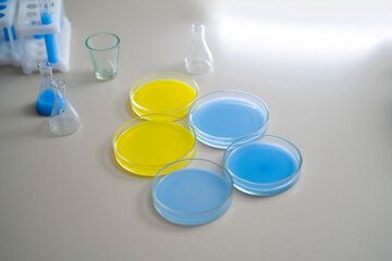 five petri dish (glass plates) with colorful liquid on the table in the laboratory