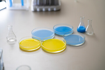 five petri dish (glass plates) with colorful liquid on the table in the laboratory